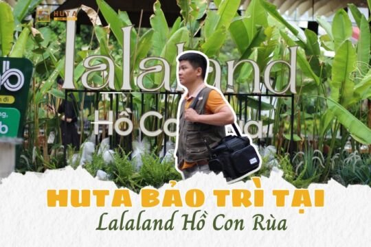 hanh trinh bao tri den ban nha hang tai lalaland ho con rua 1 1